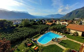 Hotel Garni Grüner Baum (Albero Verde)